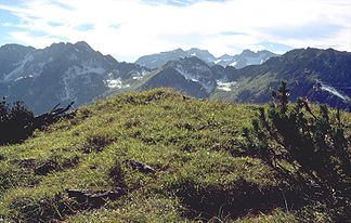 Vorderer Wildgundkopf (höchster Gipfel im linken Bildbereich) vom Älpelekopf. Am linken Bildrand der Hintere Wildgundkopf. Ganz rechts der Himmelschrofen. Im hinteren Kamm links die Schafalpenkopfgruppe und rechts die Hammerspitze