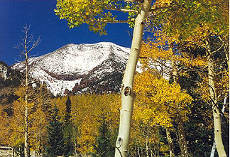 Humphreys Peak von der Kachina Peaks Wilderness