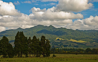 Mount Pirongia, 4. April 2008