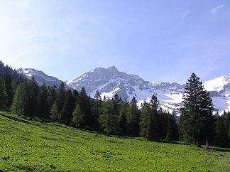 Naafkopf, von der Alp Gritsch (Liechtenstein) gesehen