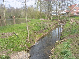 Der Mühlenbach bei Haus Werburg. Links durch Zufluss vom Mühlenbach aufgestauter Teil der ehemaligen Gräfte.