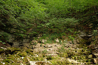 Lindach-Quellschächte; das Karstwasser fließt unterhalb durch das Kalktuff-Gehänge des Neidlinger Wasserfalls