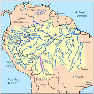 Amazonasbecken, Río Mamoré violett markiert
