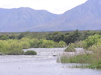 Breede im Bontebok National Park, Westkap, Südafrika, im Hintergrund die Langeberge