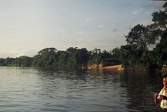 Río Caura in der Nähe von Maripa, wo eine Fährverbindung besteht (1979)
