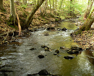 Die Urff bei Oberurff-Schiffelborn