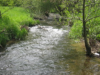 Der Flusslauf in Frankfurt-Heddernheim, unweit der Mündung in die Nidda