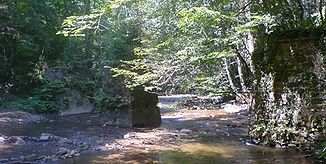 Oberlauf der Laßnitz mit Brückenpfeiler der ehemaligen Waldbahn