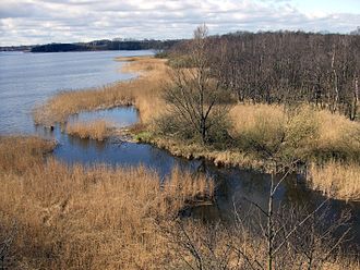 Nordufer des Hemmelsdorfer Sees mit Aalbek (Abfluss zur nahen Ostsee)