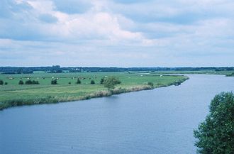 Eider bei Breiholz