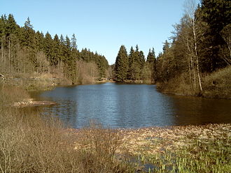 Der Neue Teich im Frühjahr