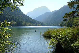 Thumsee01.jpg