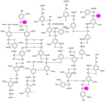 Beispiel einer Ligninsulfonatstruktur
