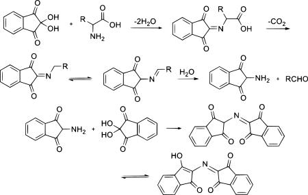 Ninhydrin Reaction Mechanism.svg