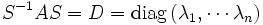 S^{-1} A S = D = \operatorname{diag}\left(\lambda_1,\cdots\lambda_n\right)