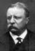 Theodore Roosevelt.jpg