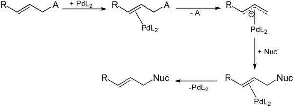 Mechanismus der Trostschen asymmetrische allylische Alkylierung