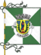 Flagge des Concelhos Guimarães