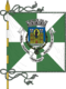 Flagge des Concelhos Porto