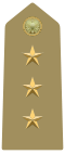 Rank insignia of capitano of the Army of Italy (1973).svg