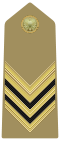Rank insignia of sergente maggiore of the Army of Italy (1973).svg