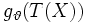 g_{\vartheta}(T(X))