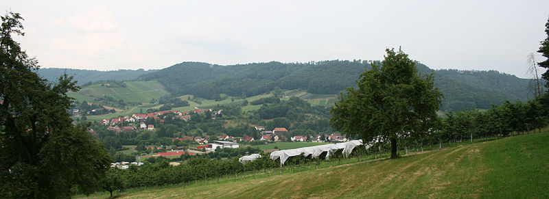 Panorama vom Pfedelbach Ortsteil Bühl