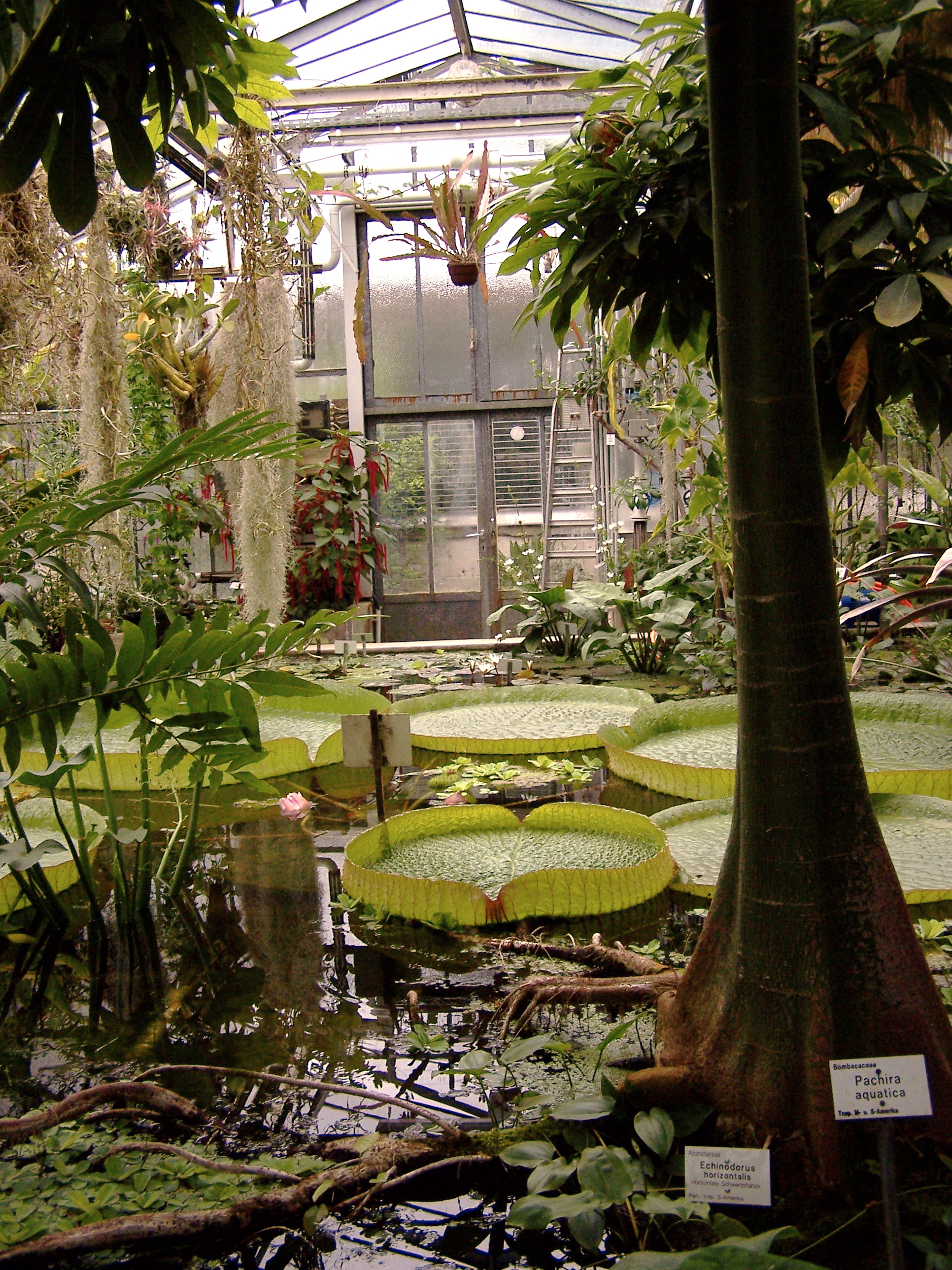 Botanische Gärten der
