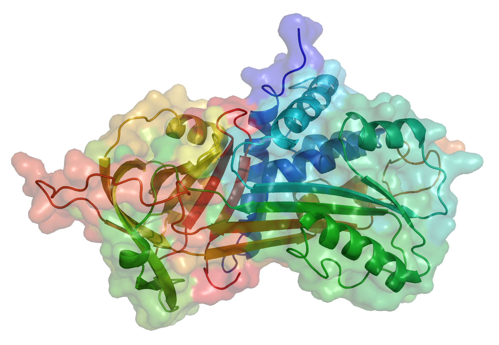 Альфа 1 глобулин. Альфа 1-антитрипсина. Белок альфа1 антитрипсин. Alpha-1 antitrypsin. Дефицит Альфа 1 антитрипсина.