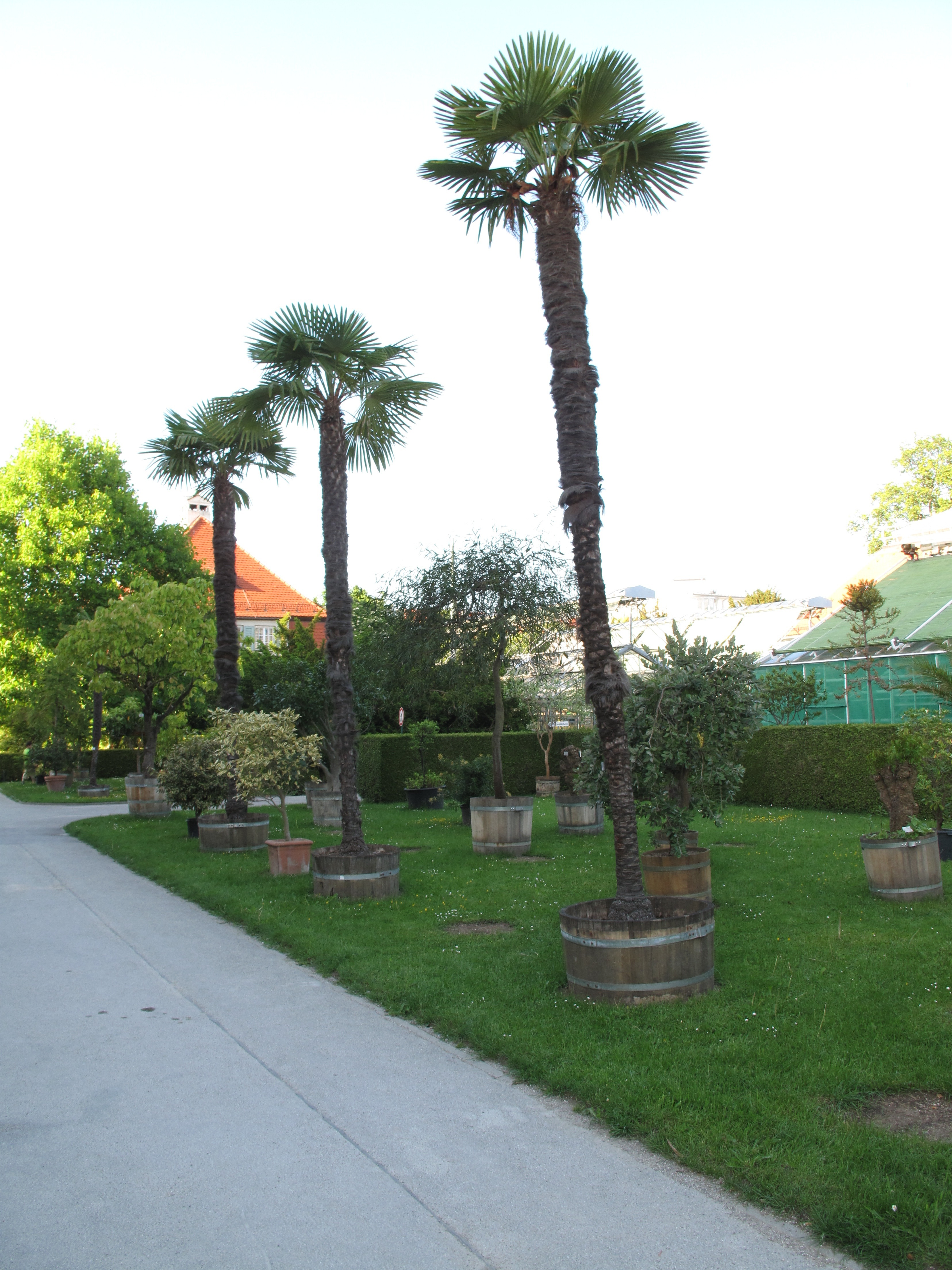 Botanischer Garten München-Nymphenburg