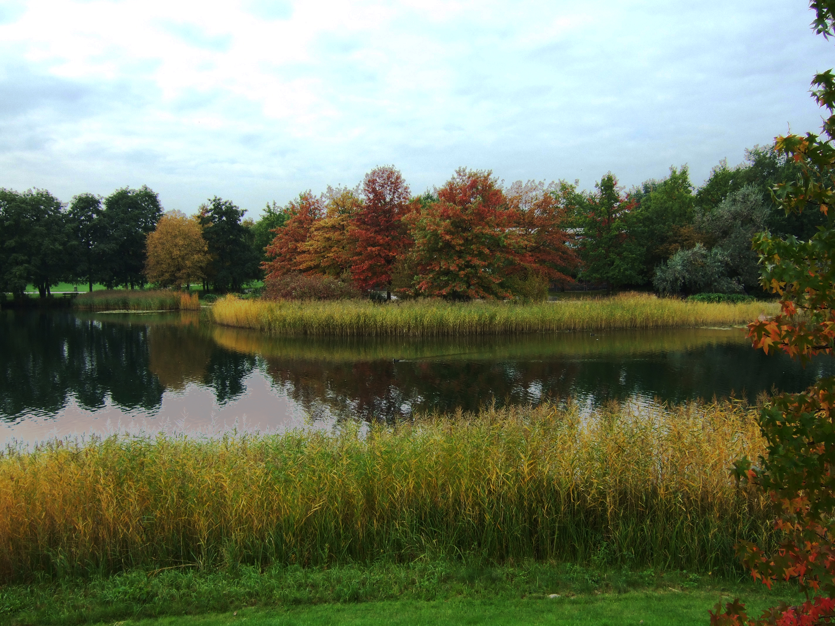 49+ Britzer Garten 20.8.22, @karina_pavlichuck wandered into a