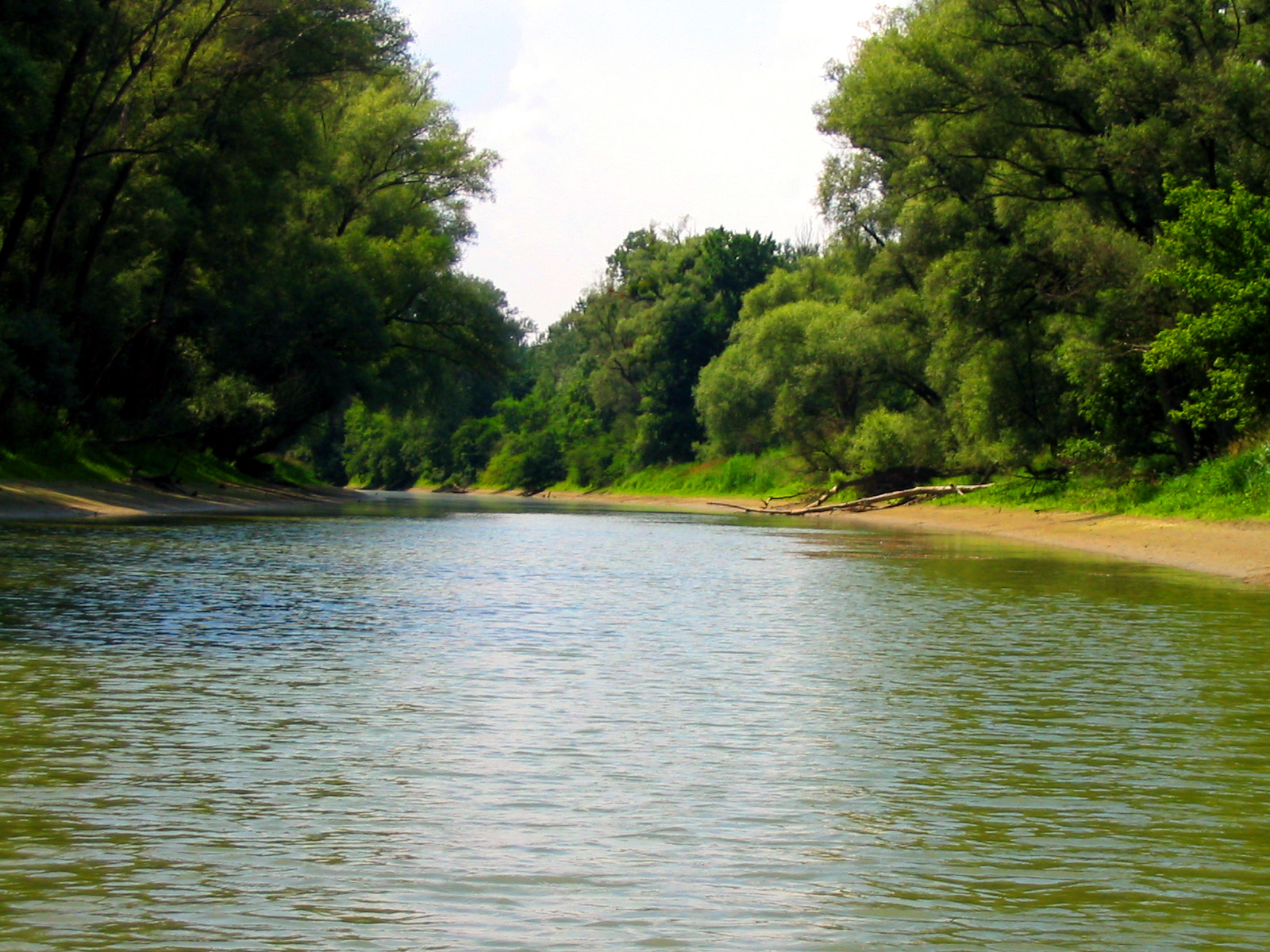 Nationalpark Donau-Auen