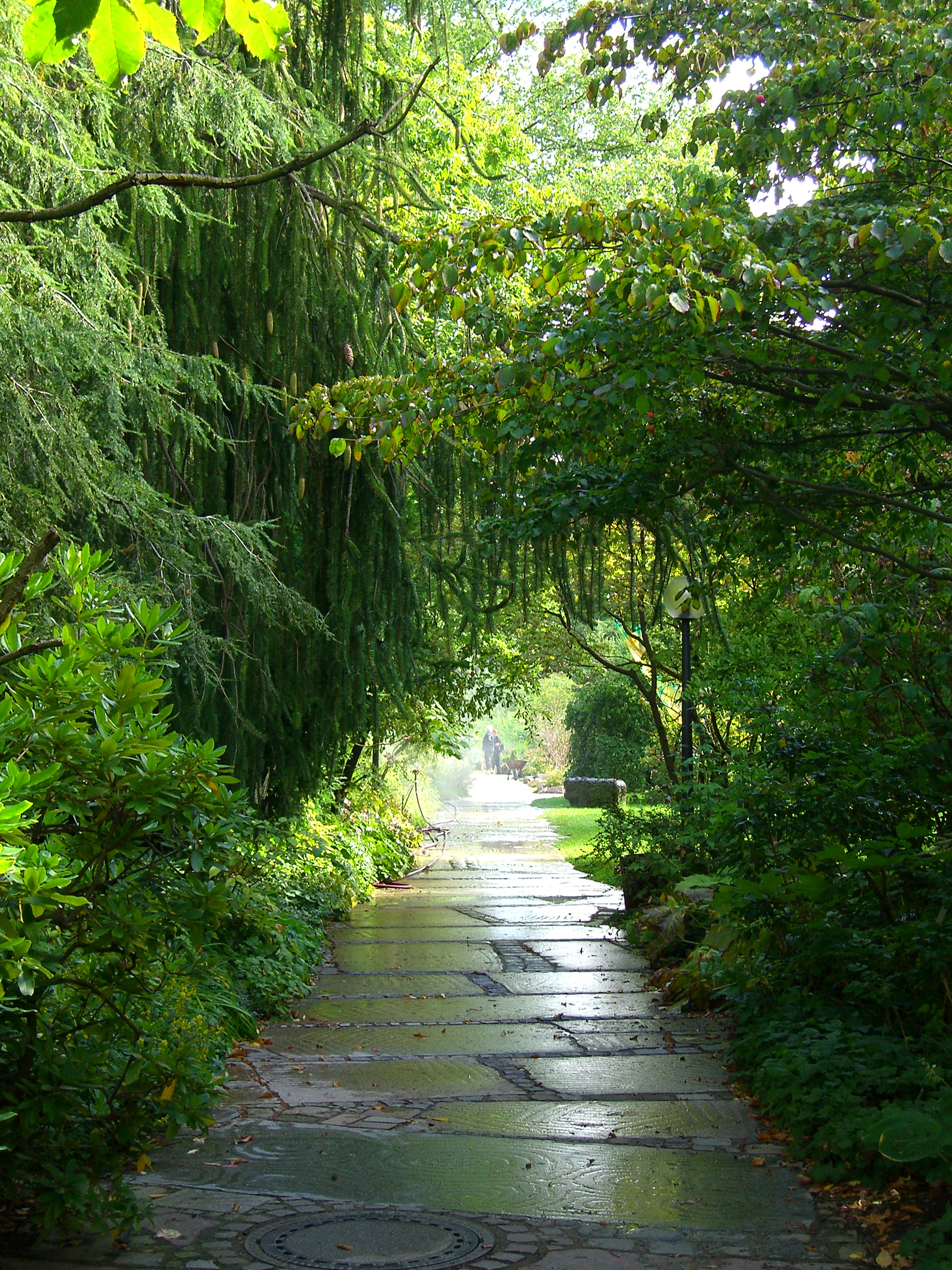 Botanischer Garten Erlangen
