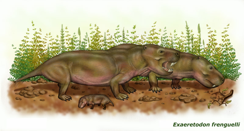 Paleorrota