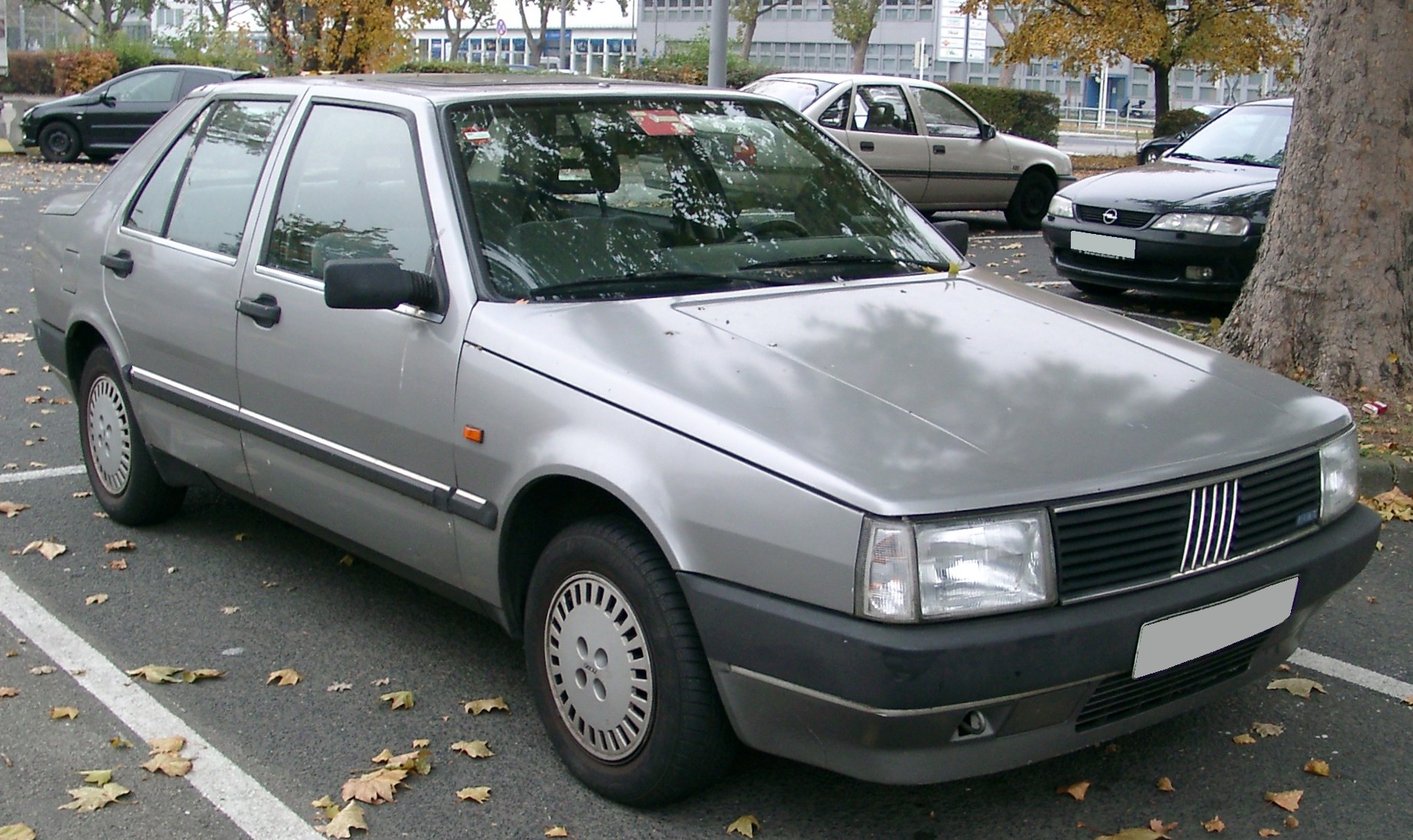 croma a50