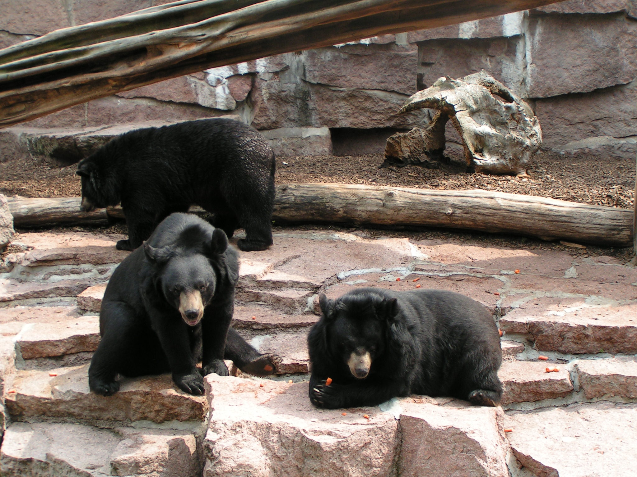 Zoologischer Garten Halle (Saale)