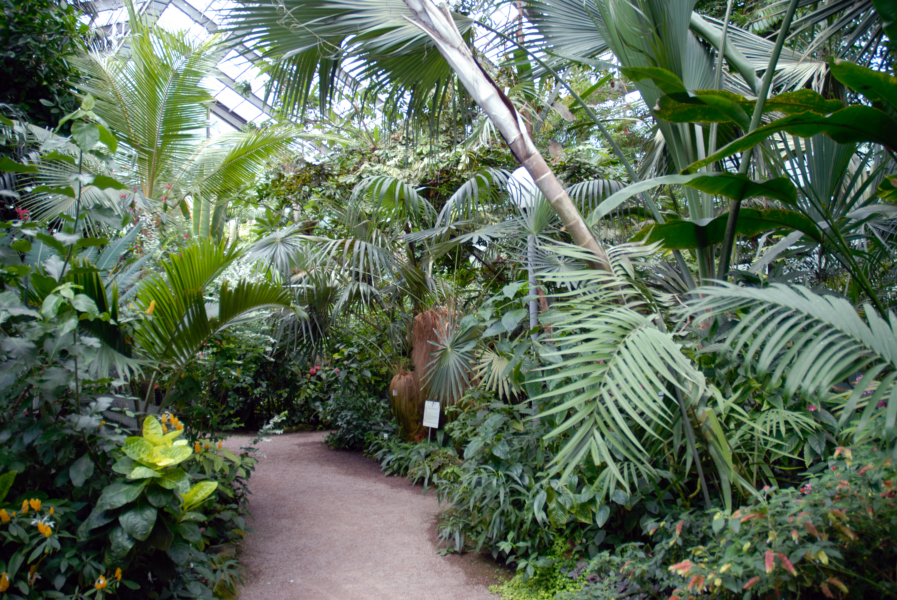Botanischer Garten Jena