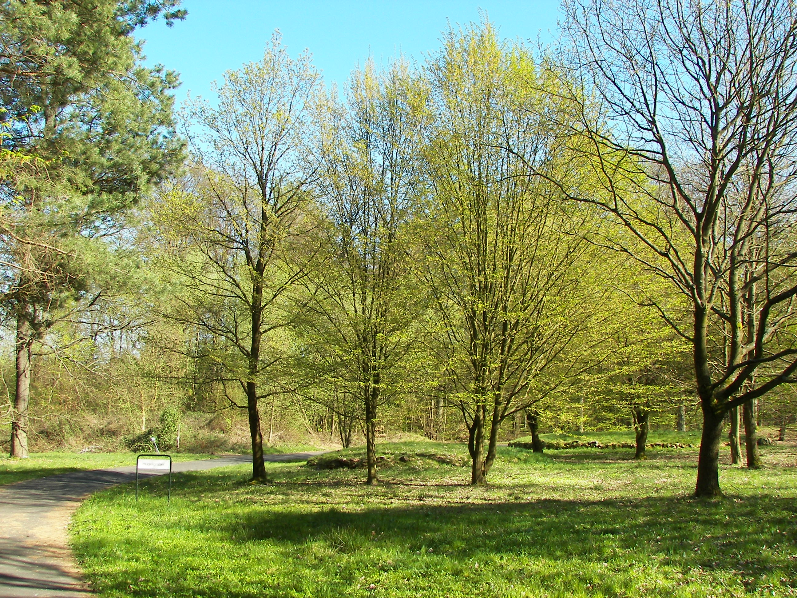 Neuer Botanischer Garten (Marburg)