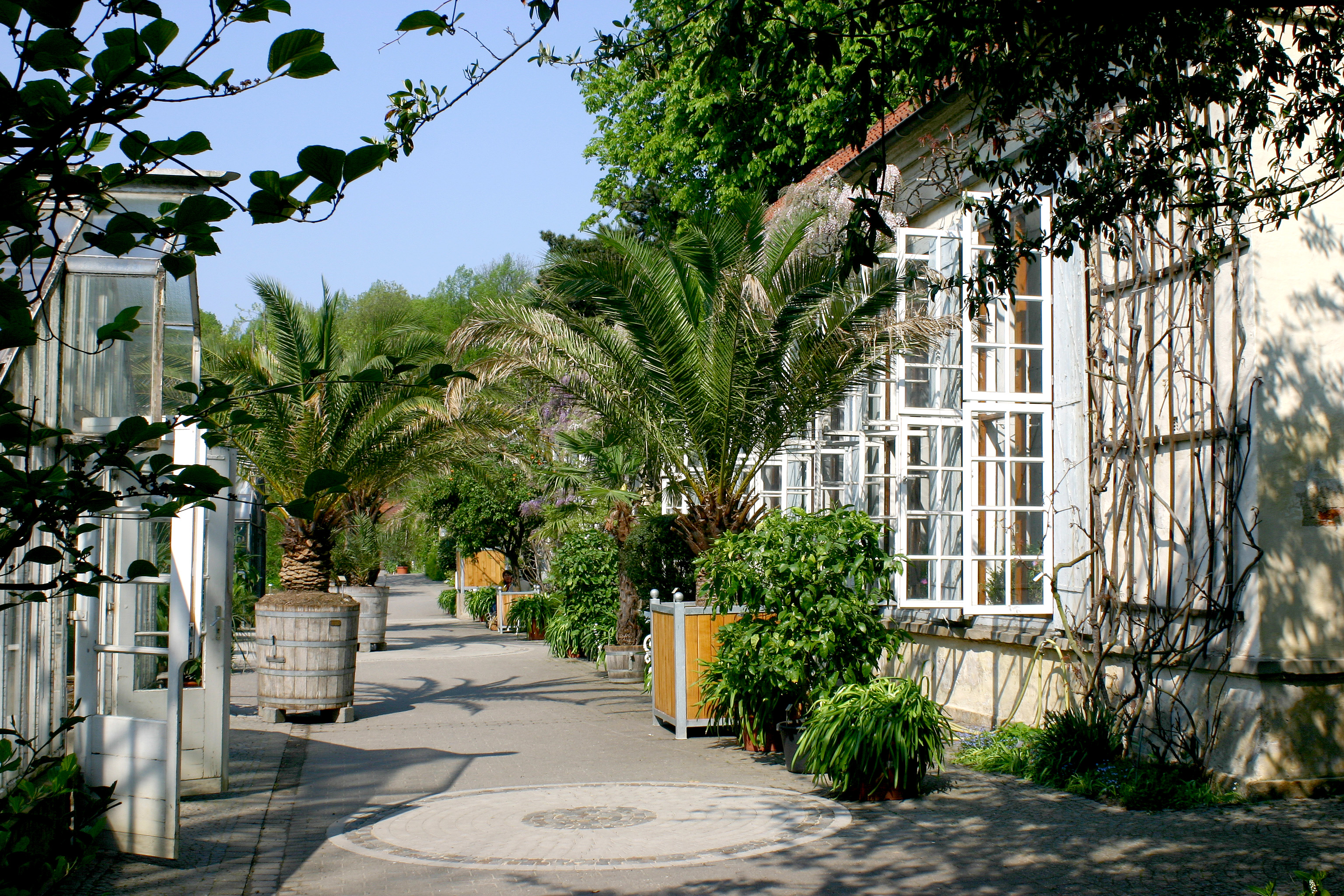 Botanischer Garten Münster