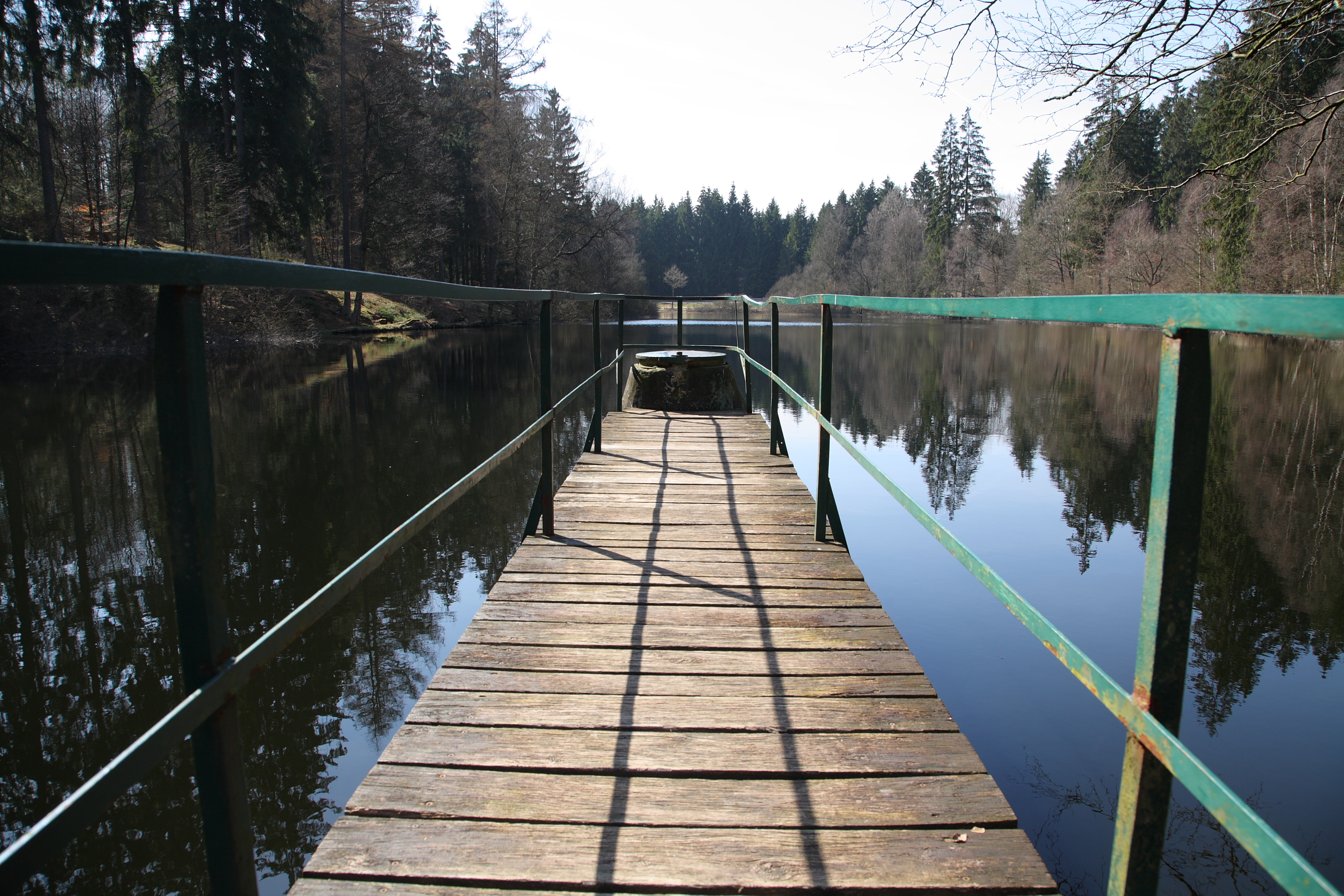 Neuer Teich (Solling)