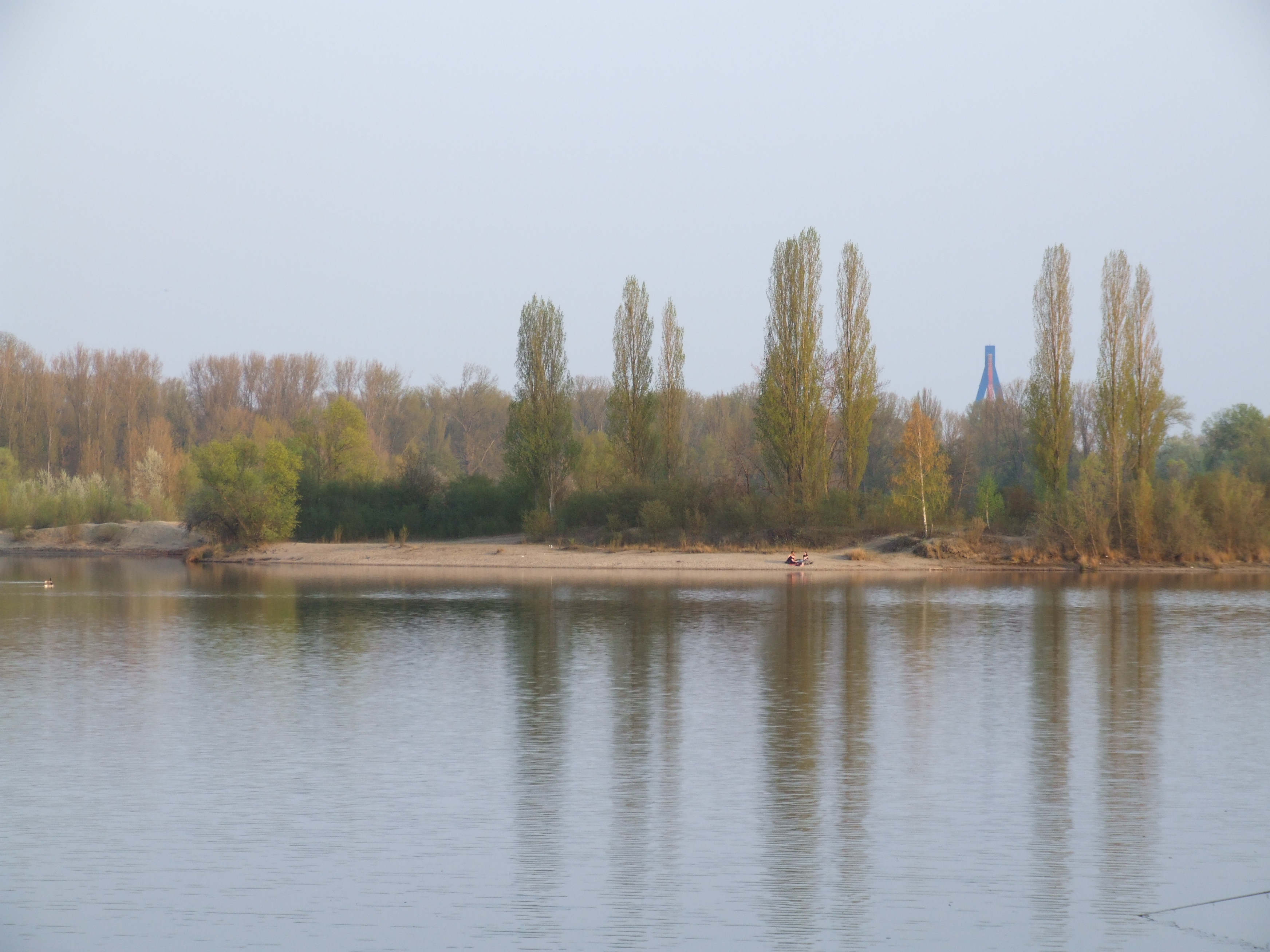 Binsfelder See Binsfelder See