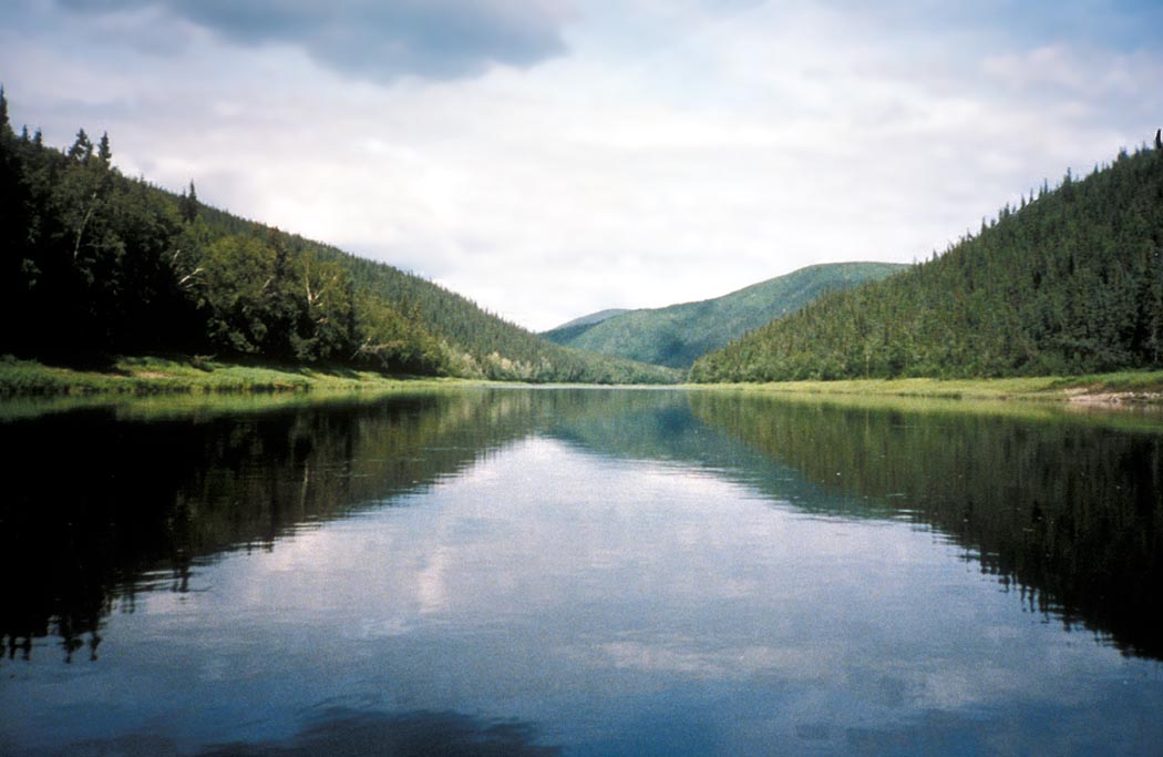 Новитен. A River Scene.