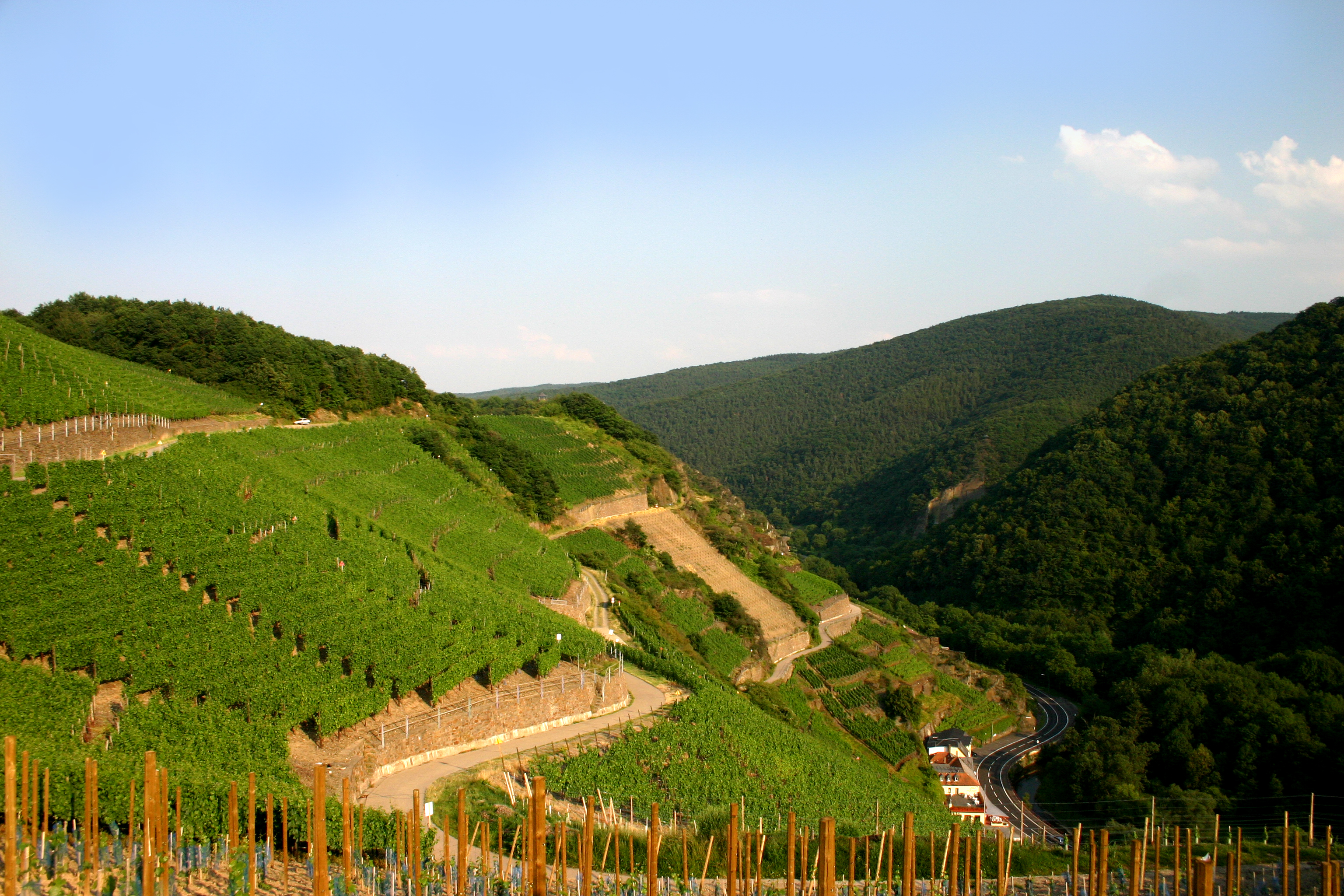 Rotweinwanderweg