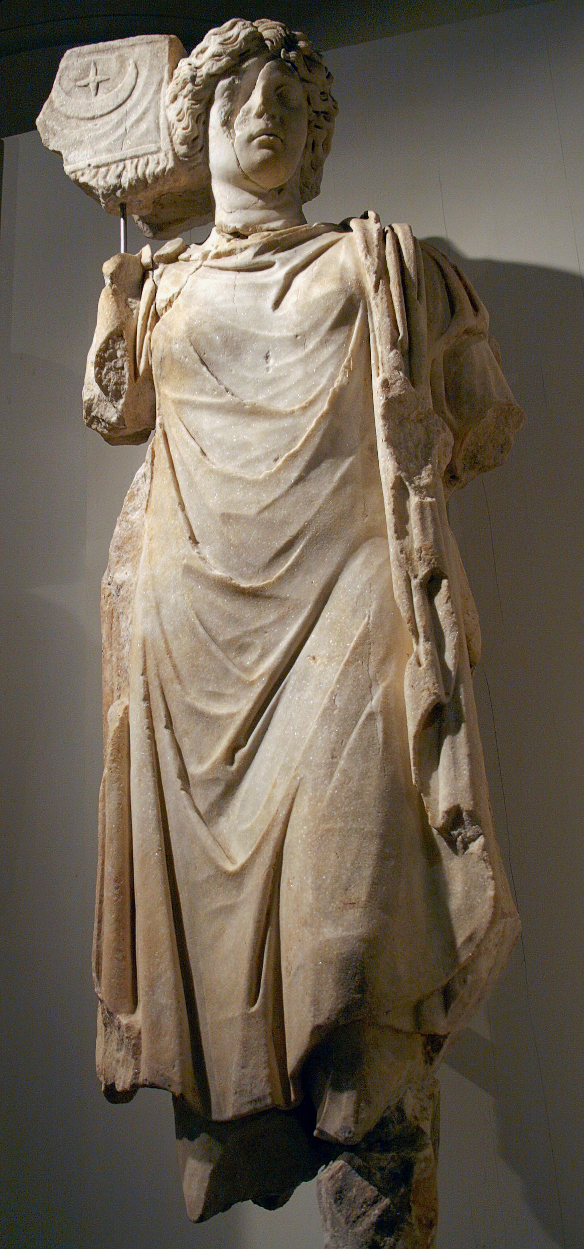 Vexillum